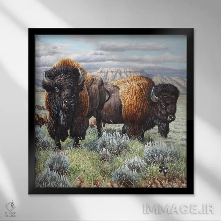 تابلو پایان گاومیش کوهاندار آمریکایی اثر سنتی فیشر - نمای قابدار مشکی