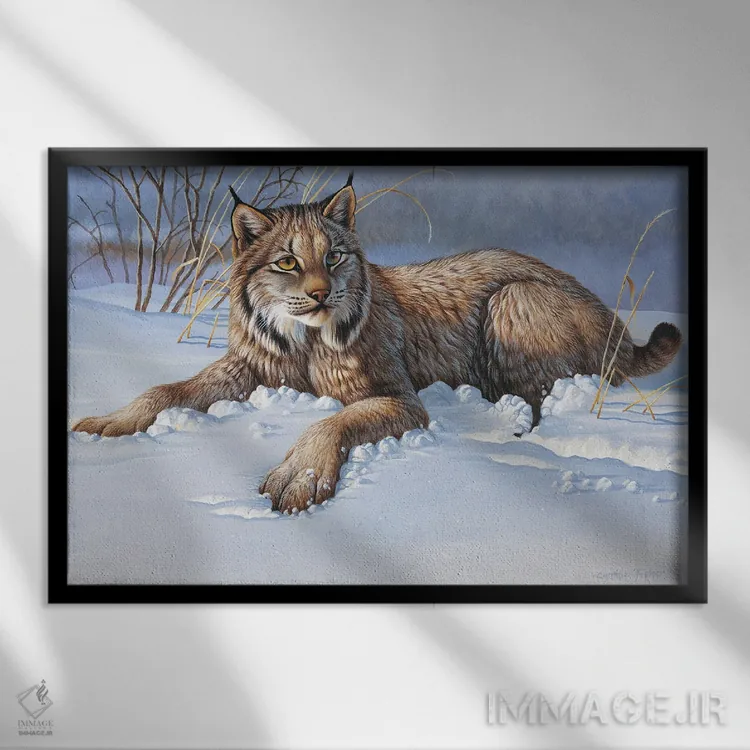 تابلو گربه وحشی (بابکت) اثر سنتی فیشر - نمای قابدار مشکی