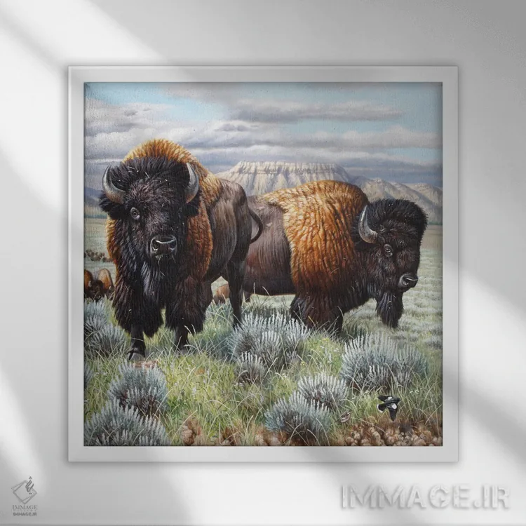 تابلو پایان گاومیش کوهاندار آمریکایی اثر سنتی فیشر - نمای قابدار سفید