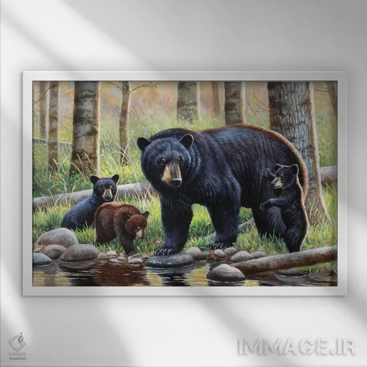 تابلو خرس سیاه با تولهها اثر سنتی فیشر - نمای قابدار سفید
