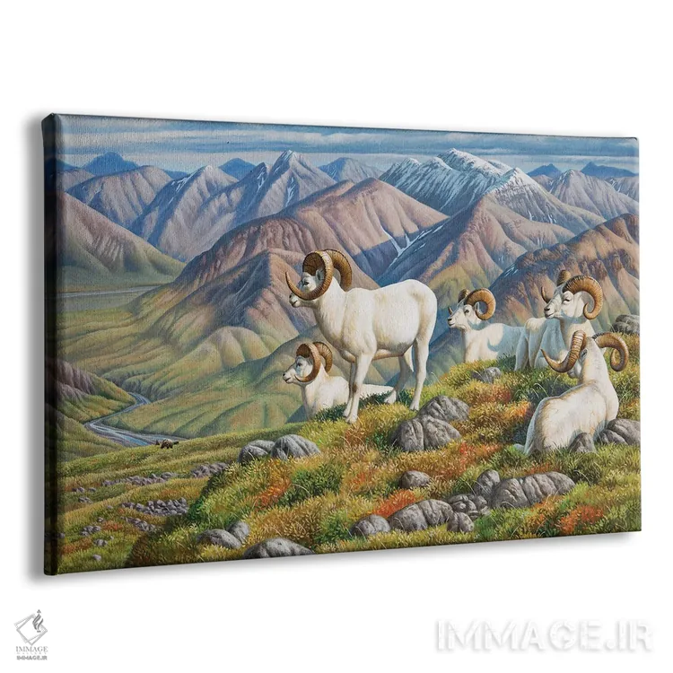 تابلو گوسفند دال (نژاد کوهی) اثر سنتی فیشر - نمای پرسپکتیو محصول