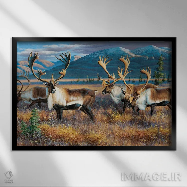 تابلو کاربو ۳ (گوزن شمالی) اثر سنتی فیشر - نمای قابدار مشکی