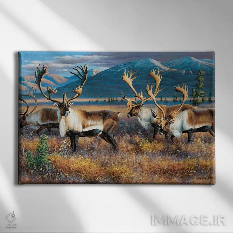 تابلو کاربو ۳ (گوزن شمالی) اثر سنتی فیشر - نمای روبهرو روی دیوار