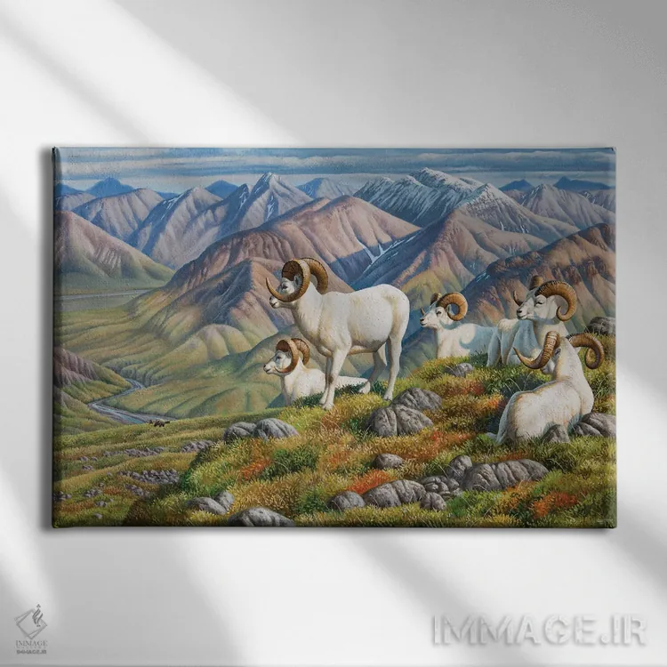 تابلو گوسفند دال (نژاد کوهی) اثر سنتی فیشر - نمای روبهرو روی دیوار