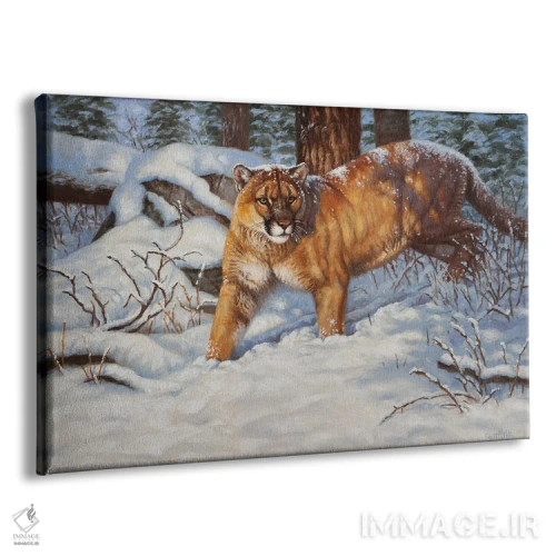 تابلو یوزپلنگ کوهی در برف اثر سنتی فیشر - نمای پرسپکتیو محصول