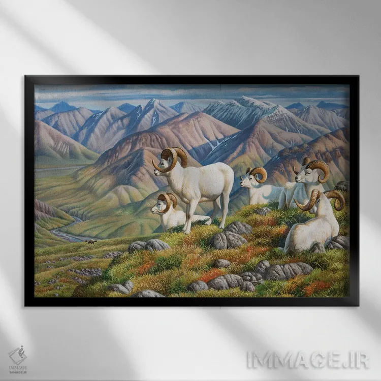 تابلو گوسفند دال (نژاد کوهی) اثر سنتی فیشر - نمای قابدار مشکی