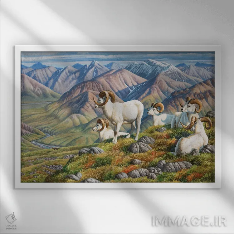 تابلو گوسفند دال (نژاد کوهی) اثر سنتی فیشر - نمای قابدار سفید