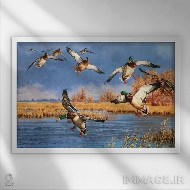 تابلو از شمال به پایین اثر سنتی فیشر - نمای قابدار سفید