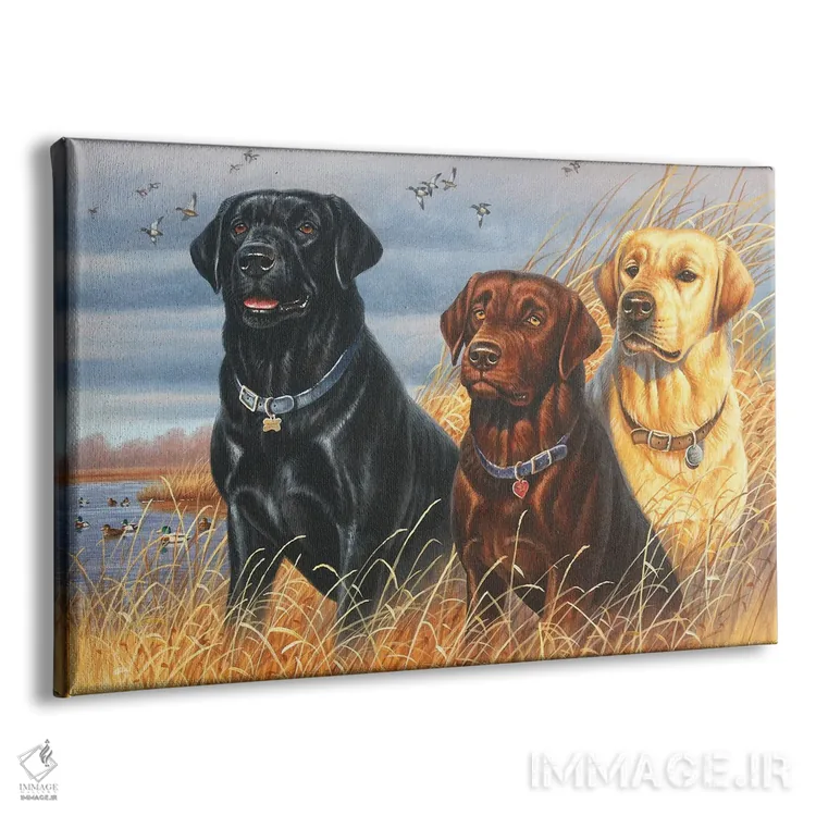تابلو لابرادورها (سگ) اثر سنتی فیشر - نمای پرسپکتیو محصول