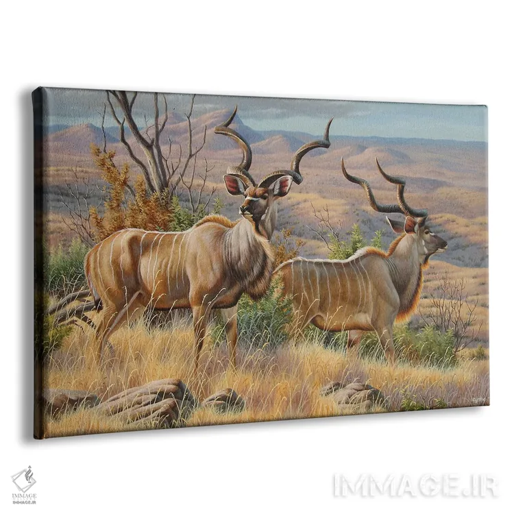 تابلو گاوان کودو (نوعی آهو در آفریقا) اثر سنتی فیشر - نمای پرسپکتیو محصول