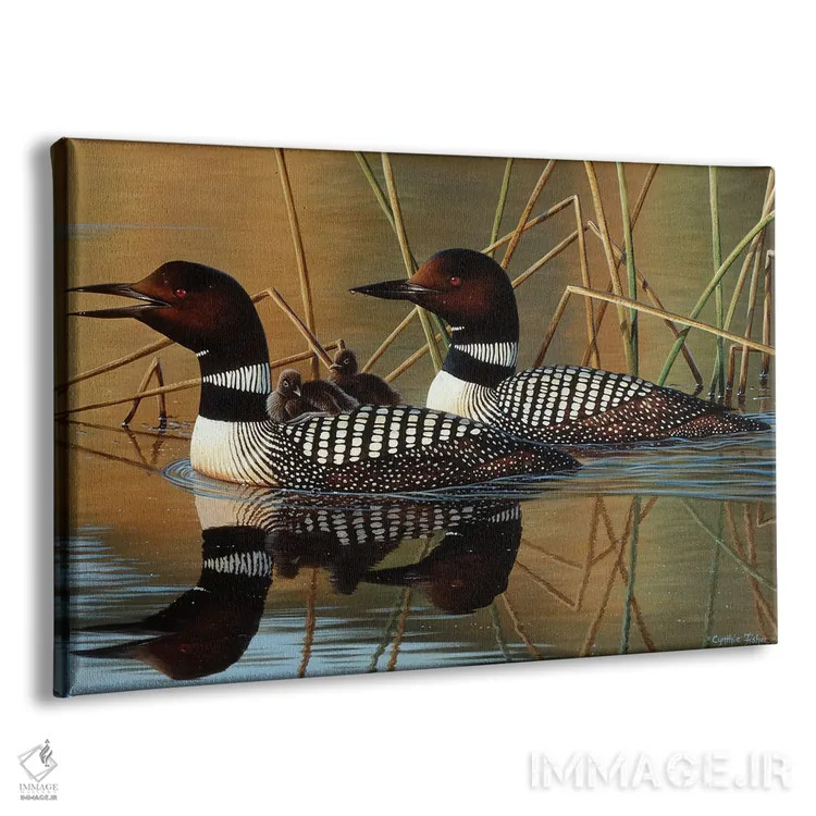 تابلو پرندگان لون و جوجه اثر سنتی فیشر - نمای پرسپکتیو محصول