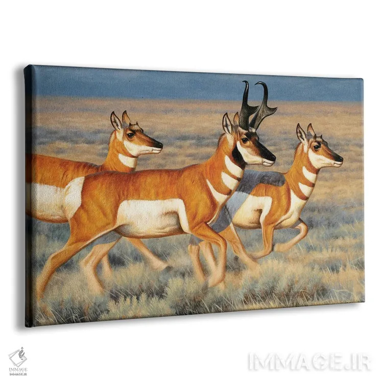 تابلو آنتیلوپها در حال دویدن اثر سنتی فیشر - نمای پرسپکتیو محصول