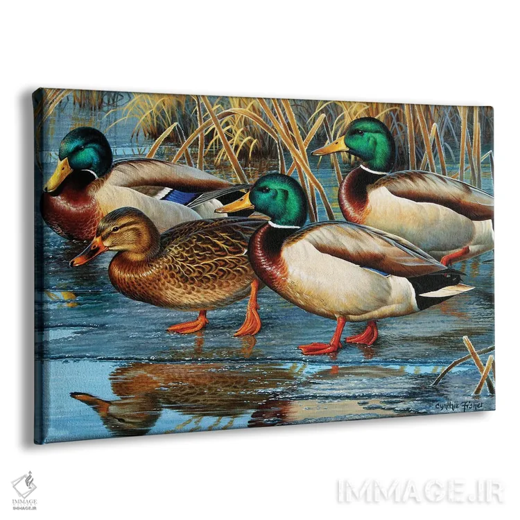 تابلو اردک سرسبز در یخ آغازین اثر سنتی فیشر - نمای پرسپکتیو محصول