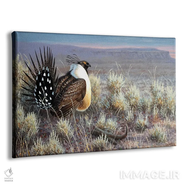 تابلو پرندهٔ دشتی سیج گروسه اثر سنتی فیشر - نمای پرسپکتیو محصول