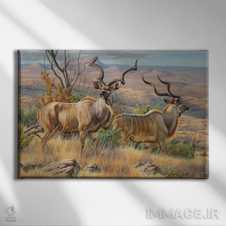 تابلو گاوان کودو (نوعی آهو در آفریقا) اثر سنتی فیشر - نمای روبهرو روی دیوار