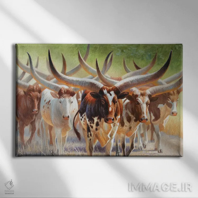 تابلو واتوسیها (نژاد گاو آفریقایی) اثر سنتی فیشر - نمای روبهرو روی دیوار