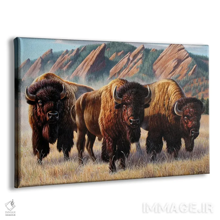 تابلو سه گاومیش کوهاندار در فلاتآیرونز اثر سنتی فیشر - نمای پرسپکتیو محصول