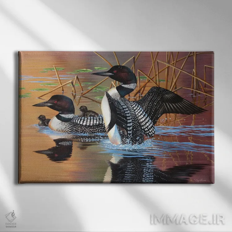 تابلو خانواده لون (پرنده لون) اثر سنتی فیشر - نمای روبهرو روی دیوار