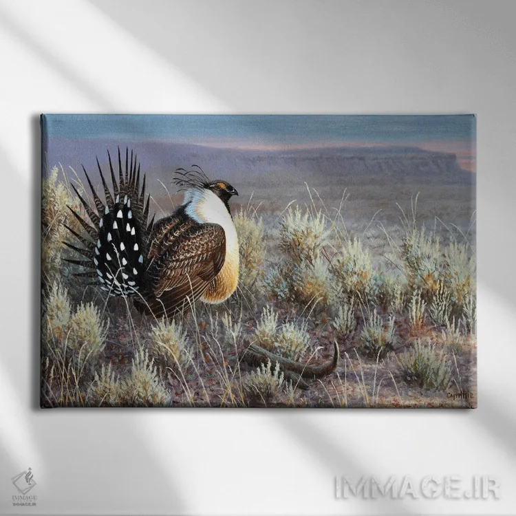 تابلو پرندهٔ دشتی سیج گروسه اثر سنتی فیشر - نمای روبهرو روی دیوار