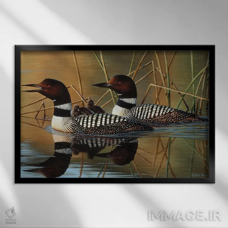 تابلو پرندگان لون و جوجه اثر سنتی فیشر - نمای قابدار مشکی