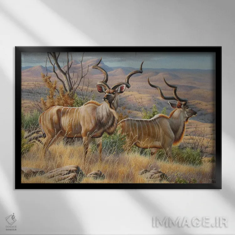 تابلو گاوان کودو (نوعی آهو در آفریقا) اثر سنتی فیشر - نمای قابدار مشکی