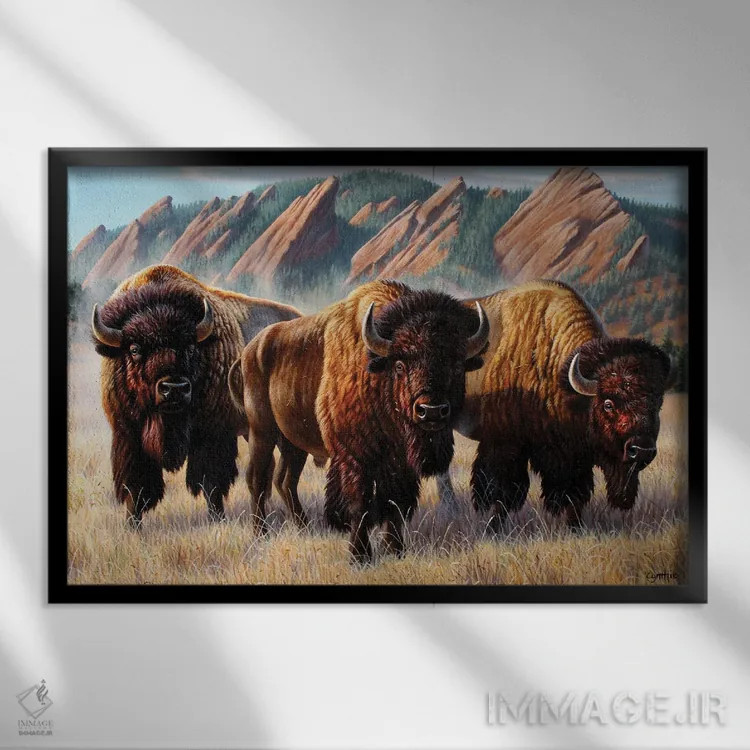 تابلو سه گاومیش کوهاندار در فلاتآیرونز اثر سنتی فیشر - نمای قابدار مشکی