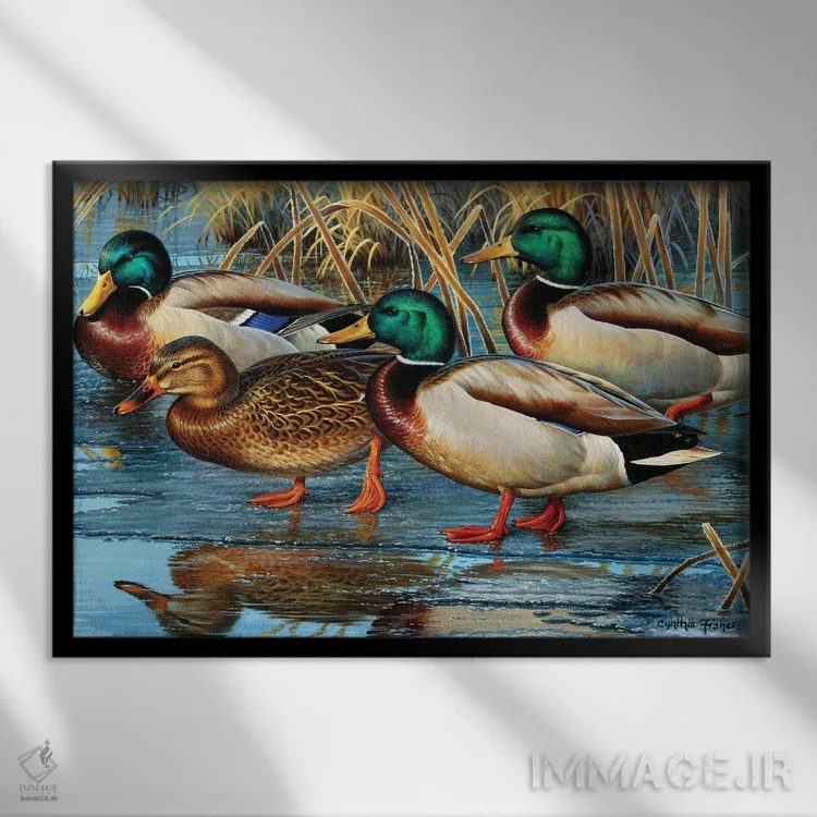 تابلو اردک سرسبز در یخ آغازین اثر سنتی فیشر - نمای قابدار مشکی