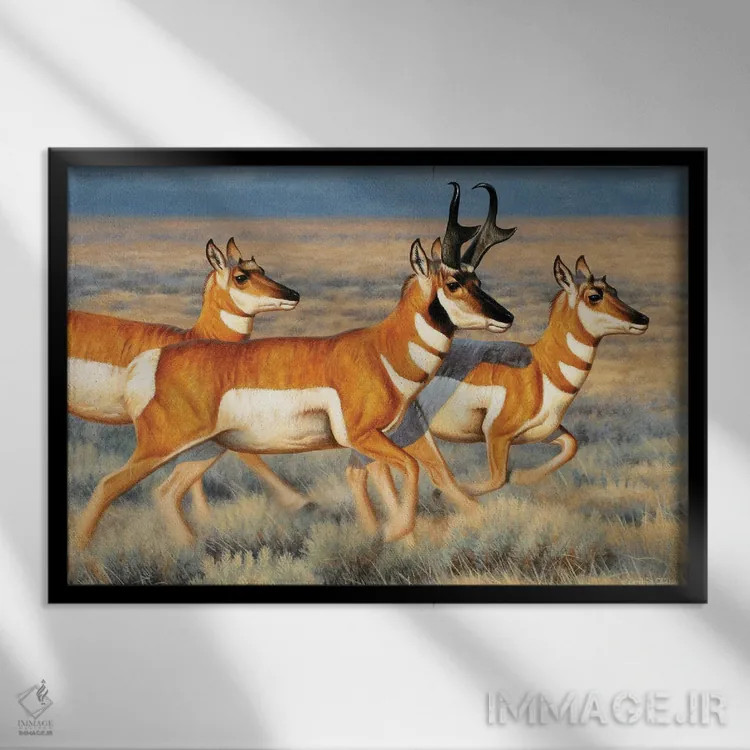 تابلو آنتیلوپها در حال دویدن اثر سنتی فیشر - نمای قابدار مشکی