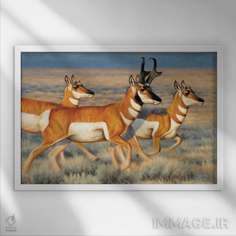 تابلو آنتیلوپها در حال دویدن اثر سنتی فیشر - نمای قابدار سفید