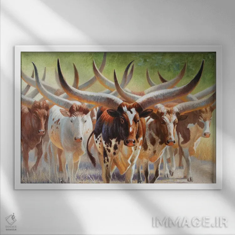 تابلو واتوسیها (نژاد گاو آفریقایی) اثر سنتی فیشر - نمای قابدار سفید