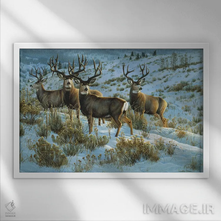 تابلو گوزن قاطر مخصوص اعضاء اثر سنتی فیشر - نمای قابدار سفید