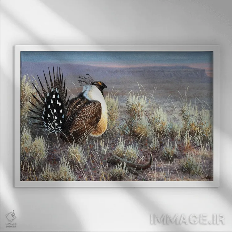 تابلو پرندهٔ دشتی سیج گروسه اثر سنتی فیشر - نمای قابدار سفید