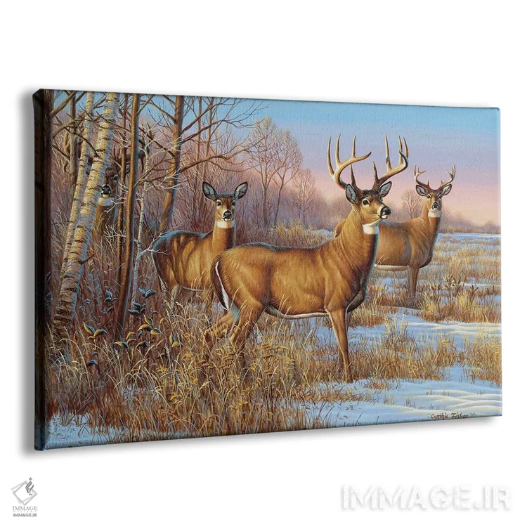 تابلو گوزن دمسفید محتاط اثر سنتی فیشر - نمای پرسپکتیو محصول