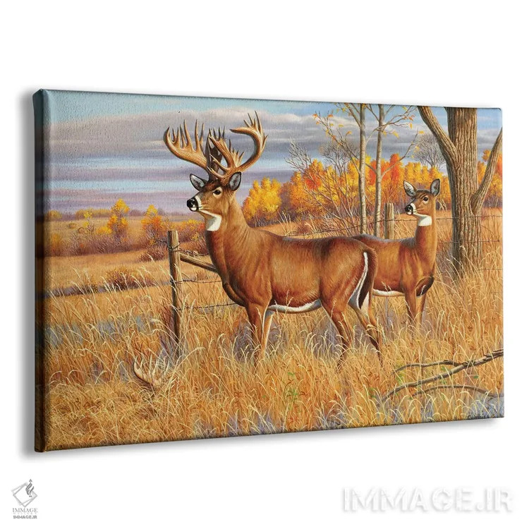 تابلو گوزن دمسفید نر اثر سنتی فیشر - نمای پرسپکتیو محصول