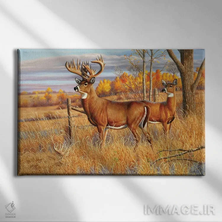 تابلو گوزن دمسفید نر اثر سنتی فیشر - نمای روبهرو روی دیوار