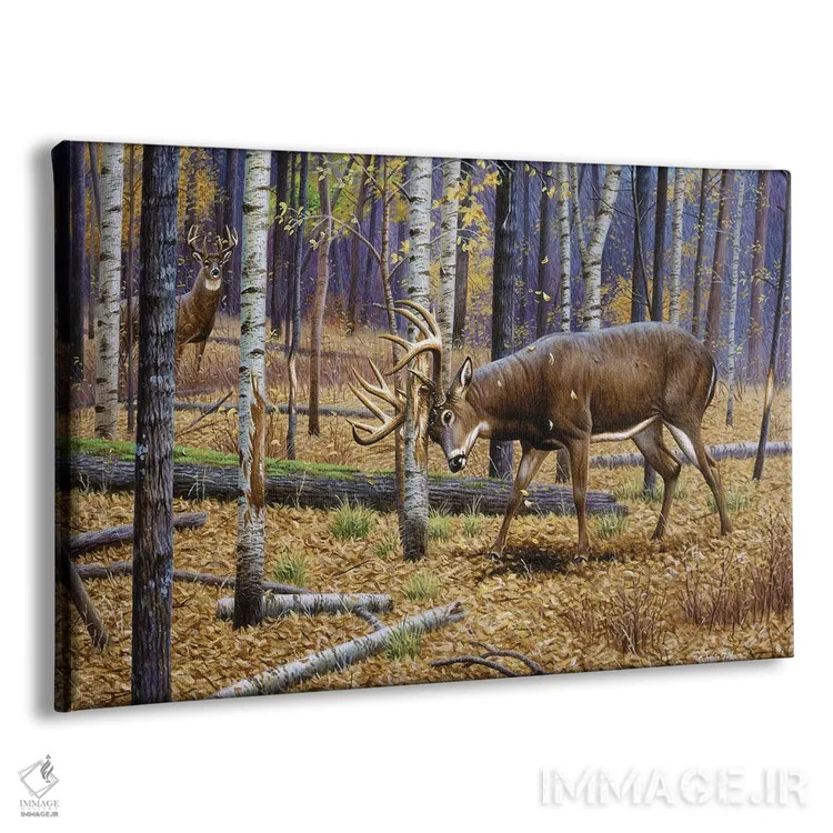 تابلو گوزن دمسفید خراشدهنده اثر سنتی فیشر - نمای پرسپکتیو محصول