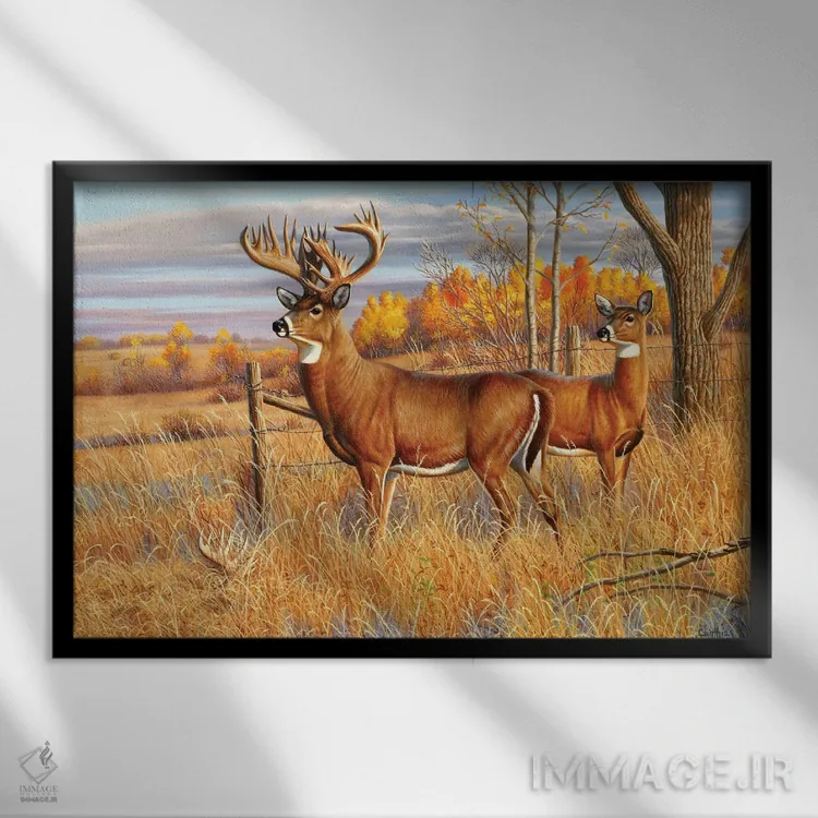 تابلو گوزن دمسفید نر اثر سنتی فیشر - نمای قابدار مشکی