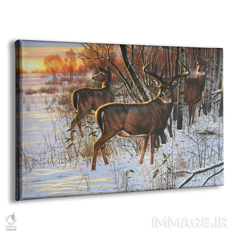 تابلو پناهگاه گوزن دمسفید در طلوع خورشید اثر سنتی فیشر - نمای پرسپکتیو محصول