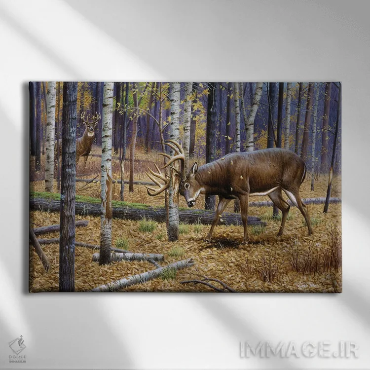 تابلو گوزن دمسفید خراشدهنده اثر سنتی فیشر - نمای روبهرو روی دیوار