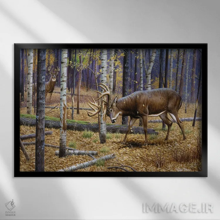 تابلو گوزن دمسفید خراشدهنده اثر سنتی فیشر - نمای قابدار مشکی