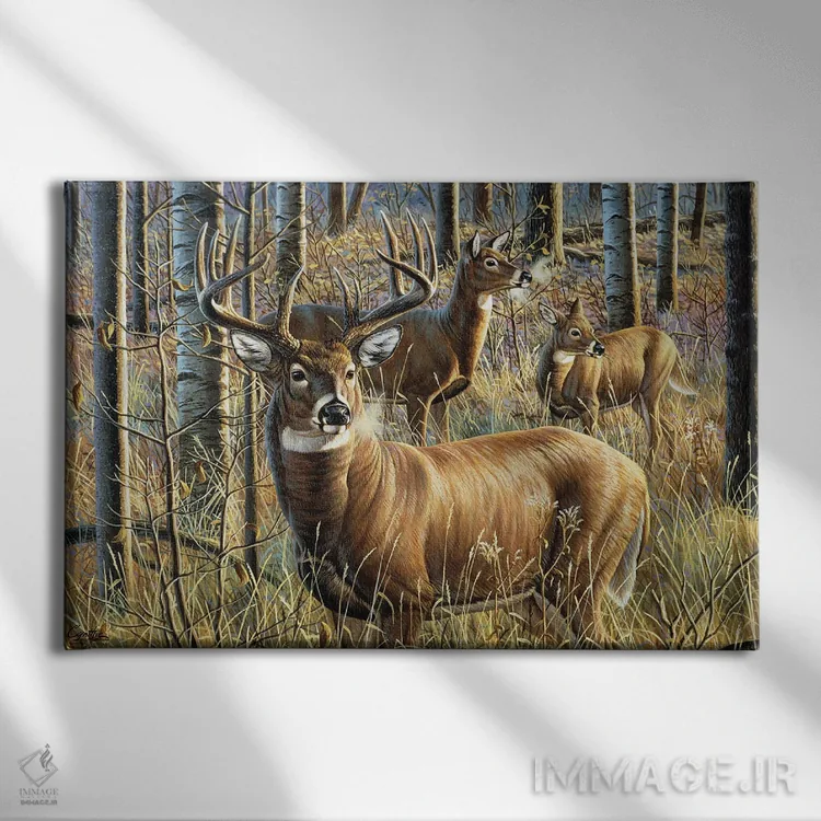 تابلو نگهبان جنگلی گوزن دمسفید اثر سنتی فیشر - نمای روبهرو روی دیوار