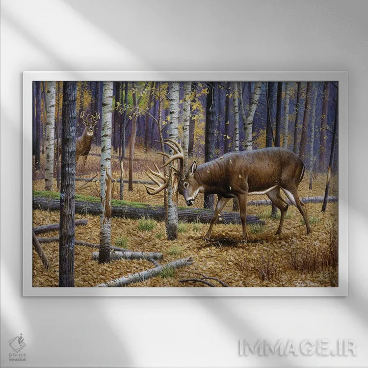 تابلو گوزن دمسفید خراشدهنده اثر سنتی فیشر - نمای قابدار سفید