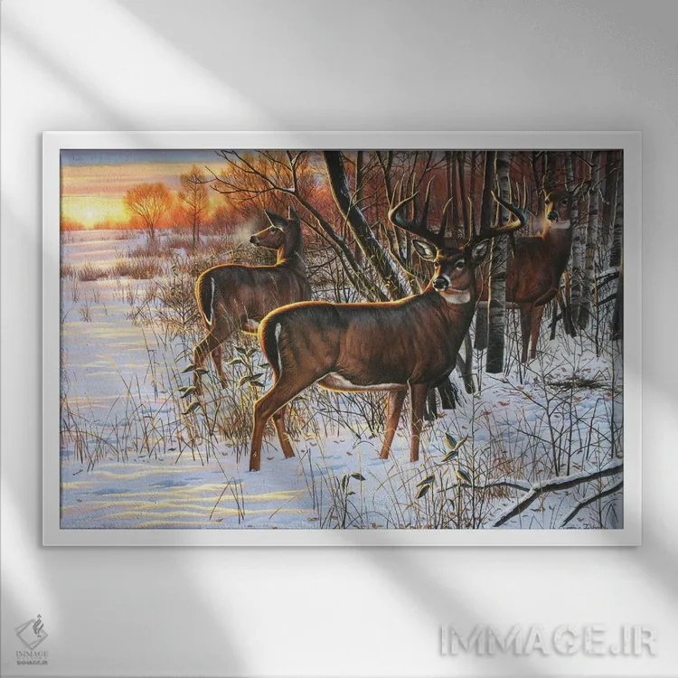 تابلو پناهگاه گوزن دمسفید در طلوع خورشید اثر سنتی فیشر - نمای قابدار سفید