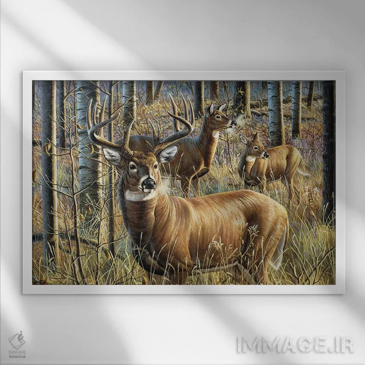 تابلو نگهبان جنگلی گوزن دمسفید اثر سنتی فیشر - نمای قابدار سفید