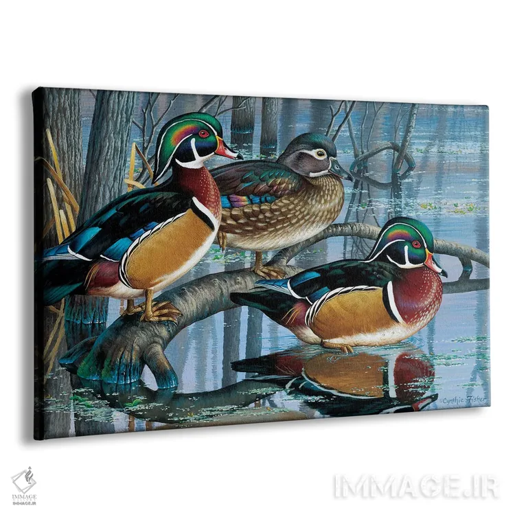 تابلو اردکهای جنگلی اثر سنتی فیشر - نمای پرسپکتیو محصول