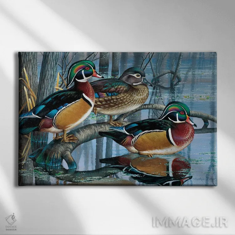 تابلو اردکهای جنگلی اثر سنتی فیشر - نمای روبهرو روی دیوار