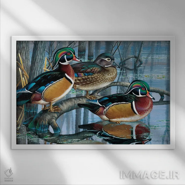 تابلو اردکهای جنگلی اثر سنتی فیشر - نمای قابدار سفید