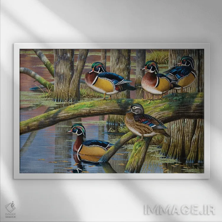 تابلو اردکهای جنگلی ۵ اثر سنتی فیشر - نمای قابدار سفید