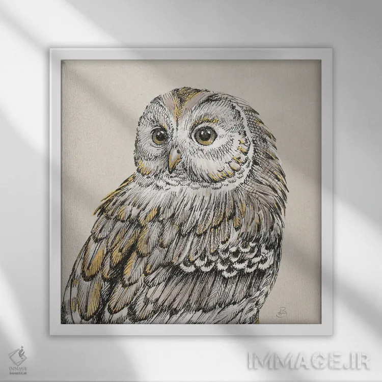 تابلو جغدهای زیبا ۳ اثر دافنه بریسونِه - نمای قابدار سفید