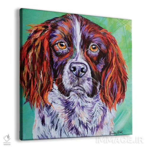 تابلو اسپرینگر اسپنیل (نژاد سگ) اثر لیندزی دال - نمای پرسپکتیو محصول